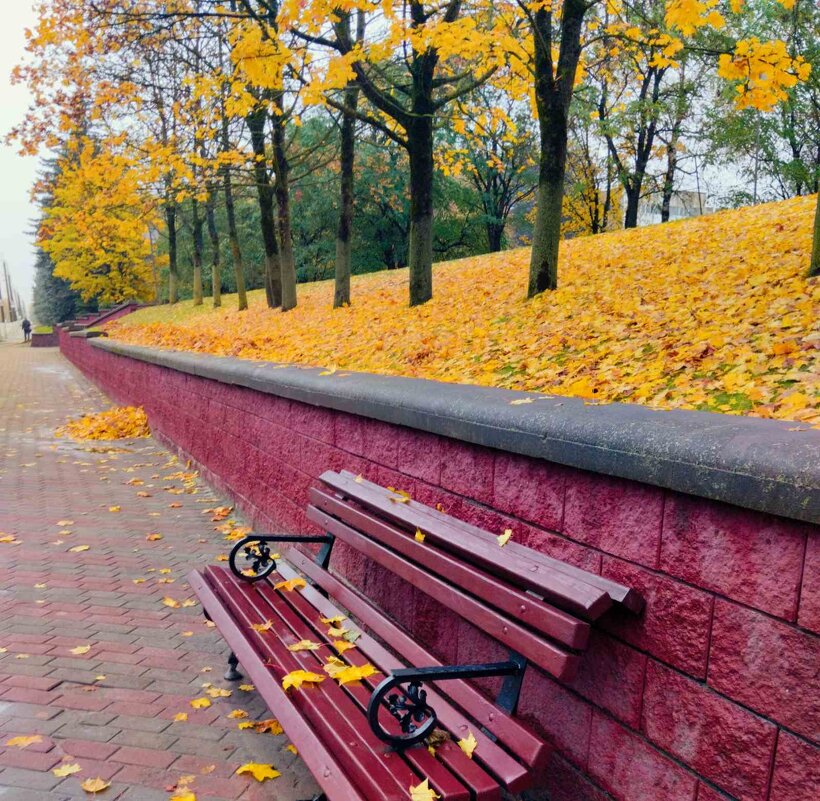 Листопад - Галина Бобкина