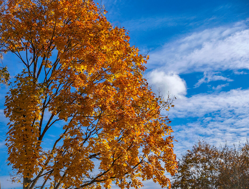 Осень - Анатолий Шумилин