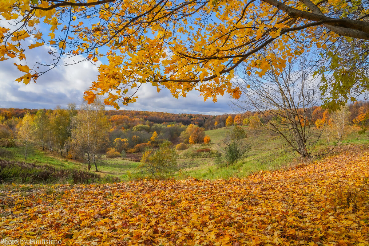 Октябрь в Царицыно... - Владимир Жданов