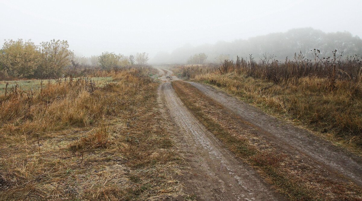 Дорога, сентябрь - ZNatasha -