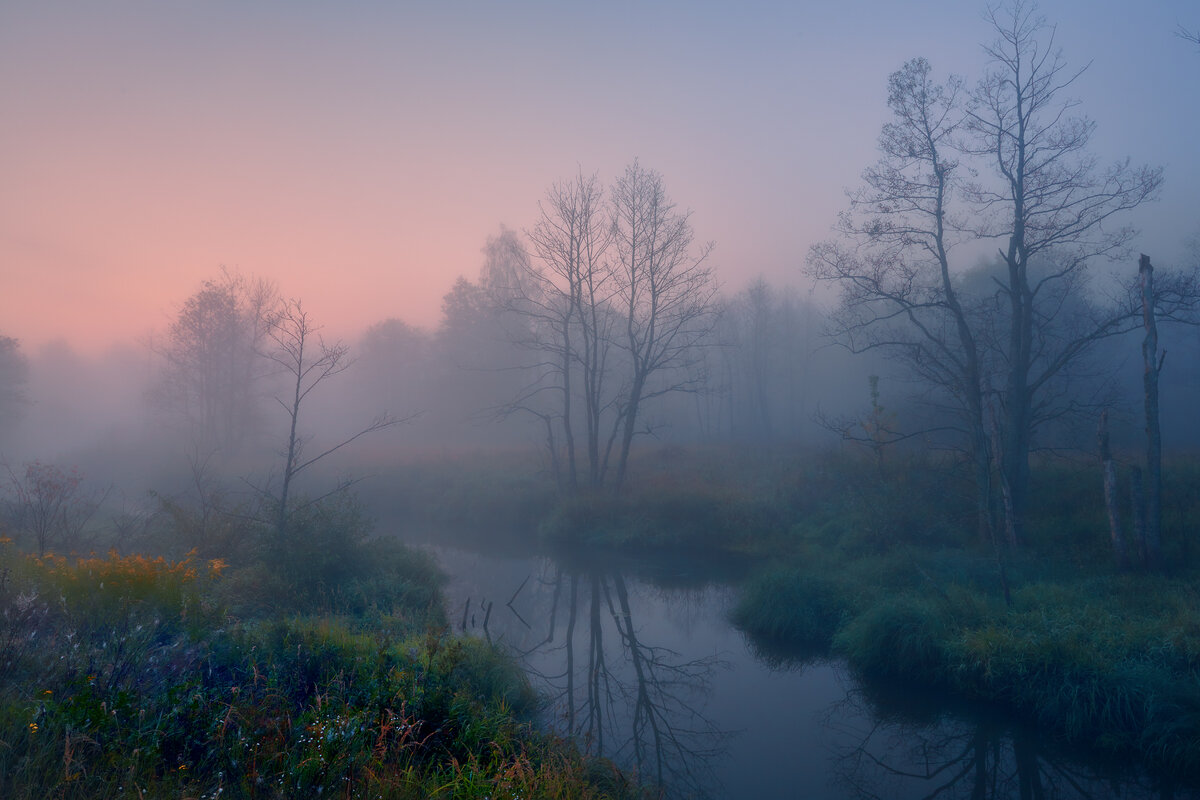 Травы приболотные ... - Roman Lunin