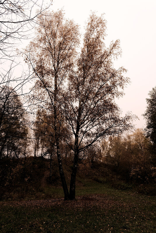 *** - Dar(k) Life *** - Dar(k) Life