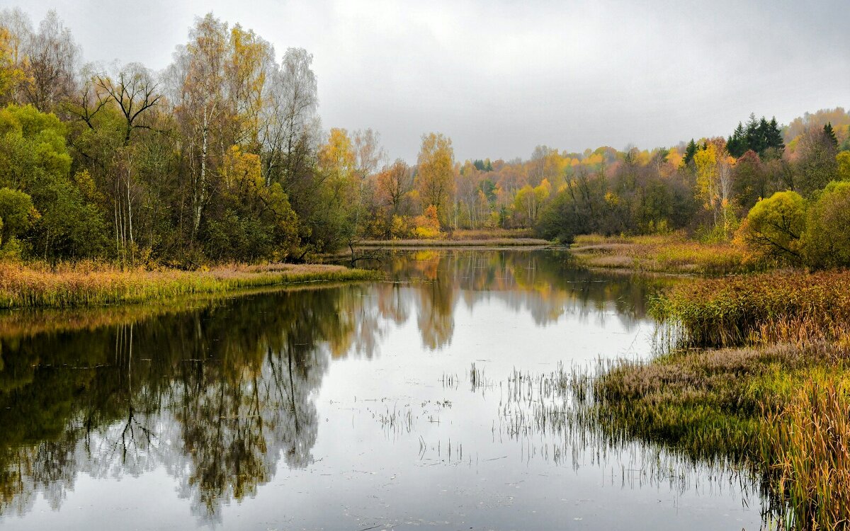 Утром на озере. - Милешкин Владимир Алексеевич 