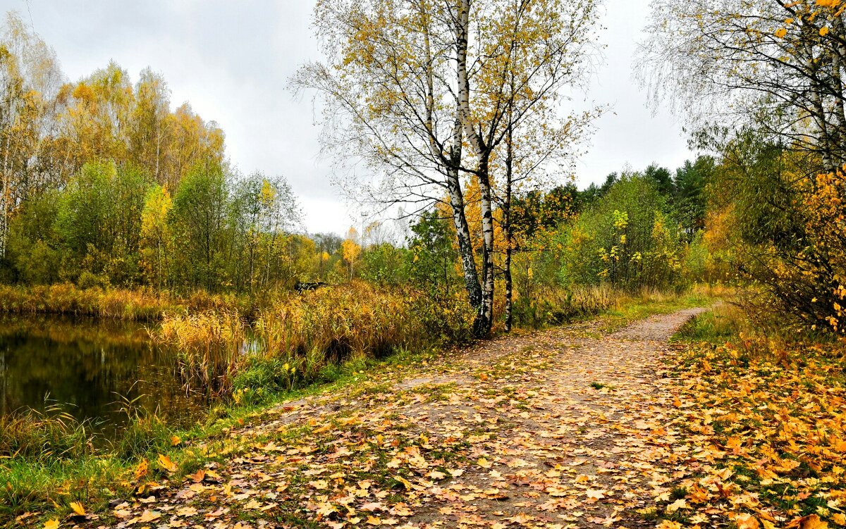 Про смоленскую осень. - Милешкин Владимир Алексеевич 