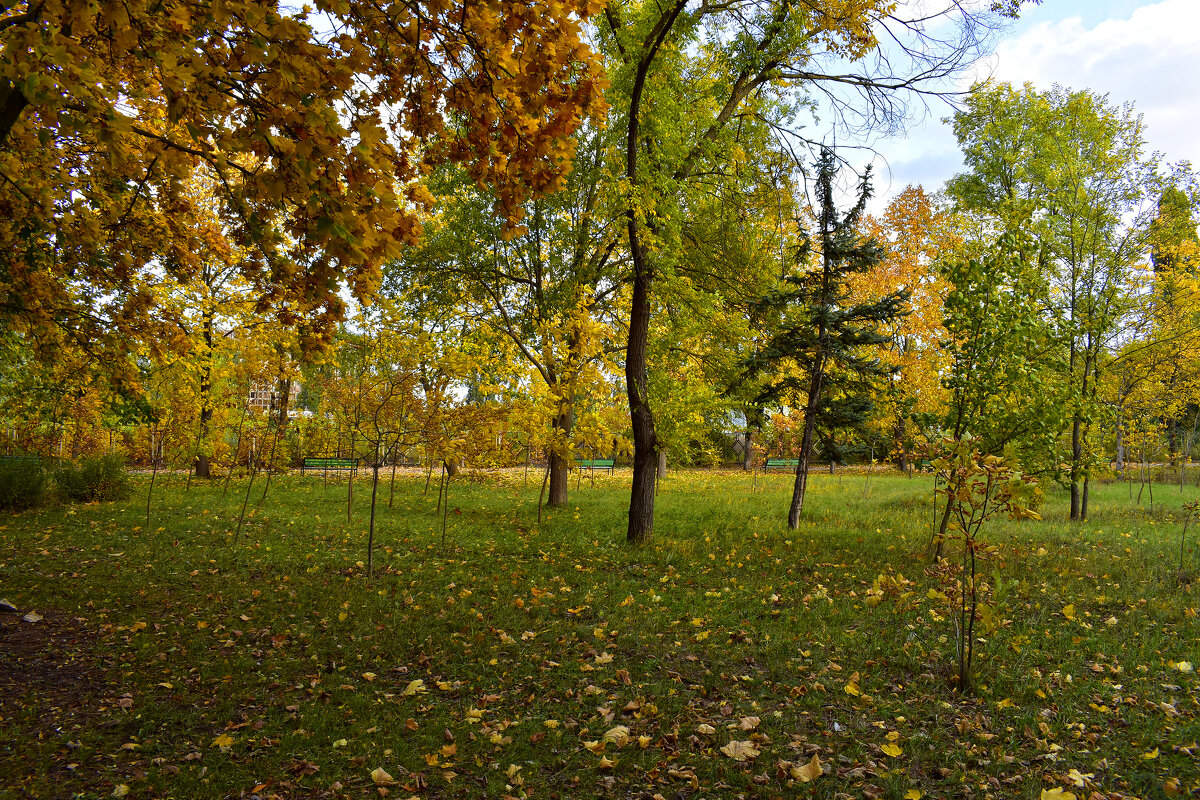 Осенний парк - Nina Streapan