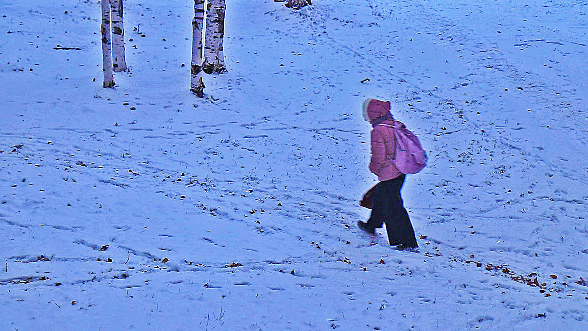 Октябрь...По первому снегу в школу! - Владимир 