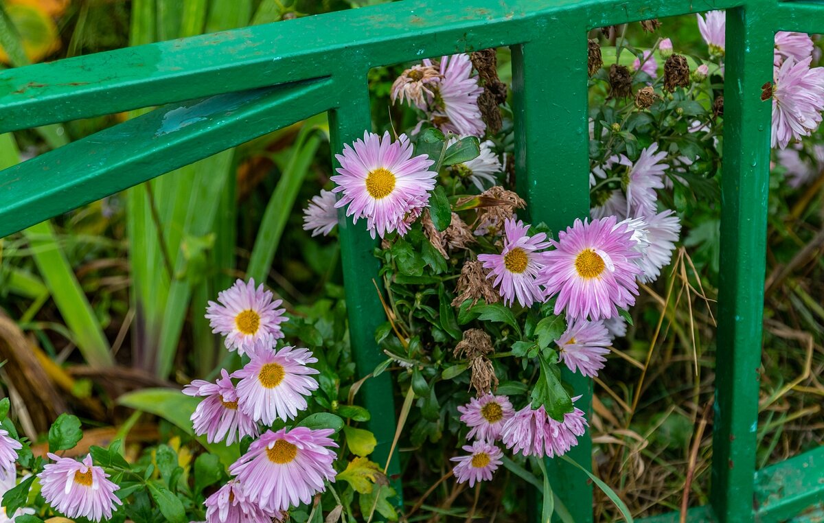 Зазаборные - Валерий Иванович