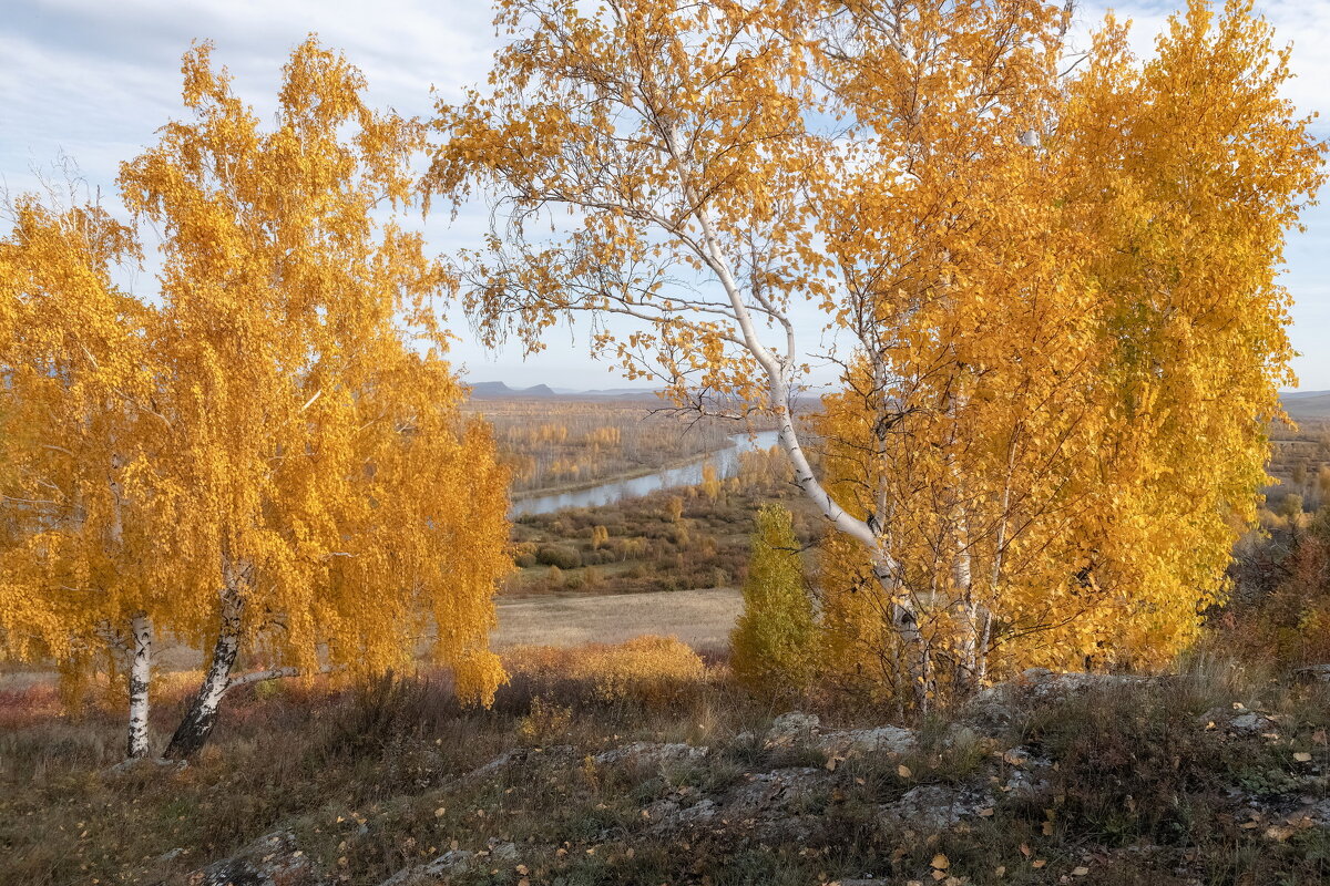 Золотая осень - Марина Фомина. Золотая осень - Марина Фомина.