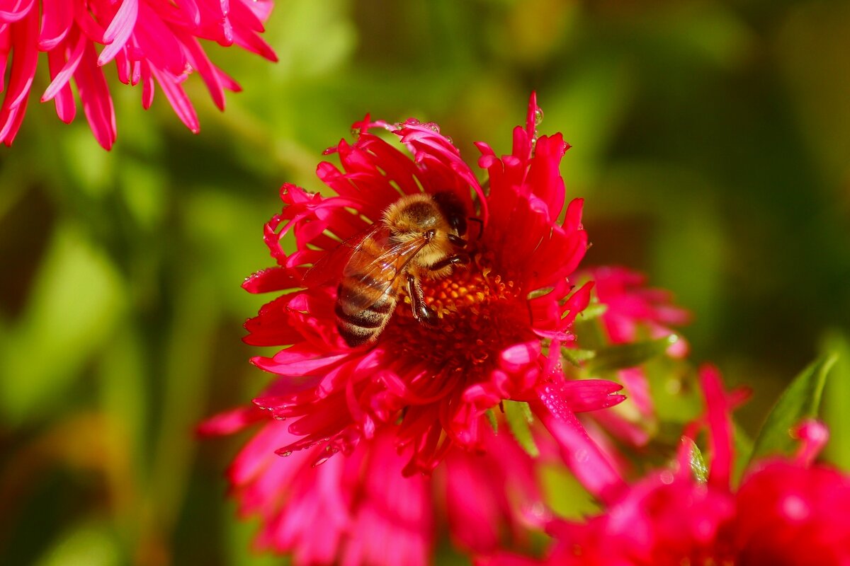 Доброе утро - Юрий. Шмаков Доброе утро - Юрий. Шмаков