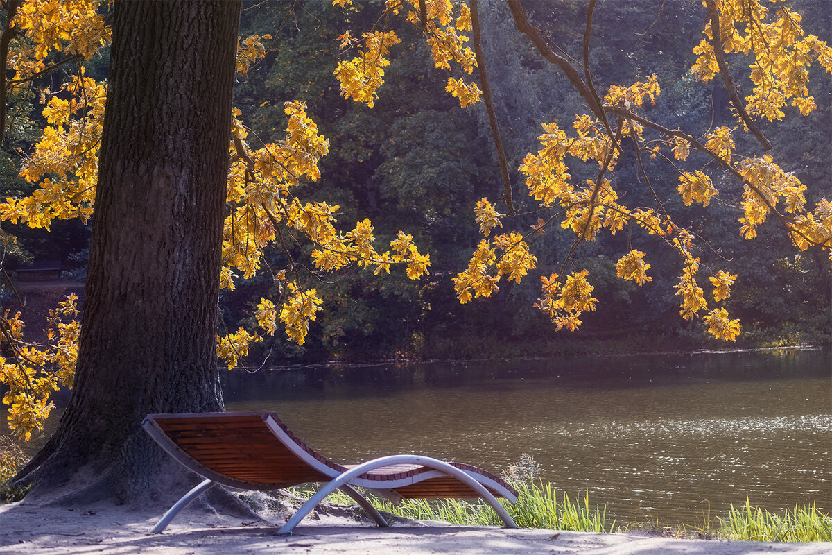 Встреча осени. Осенние зарисовки. - Michel 