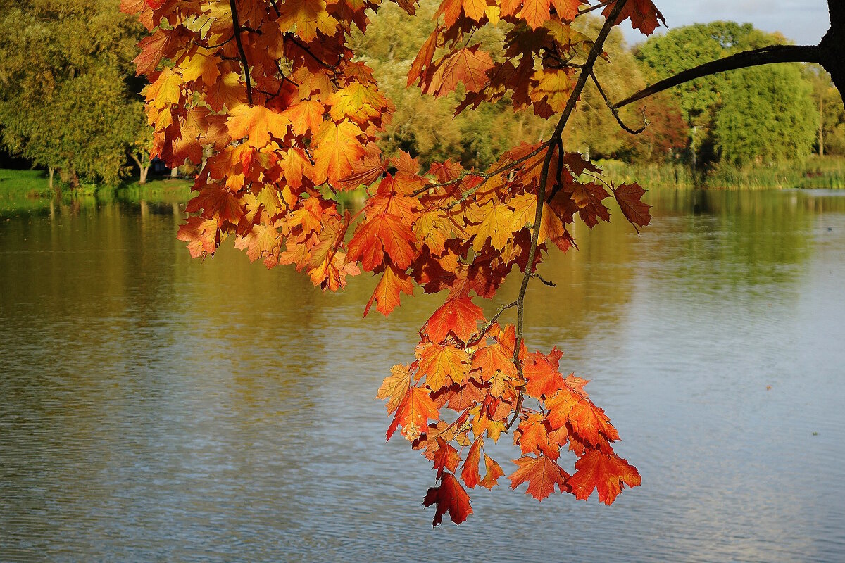 Вечерние зарисовки - Рита Симонова