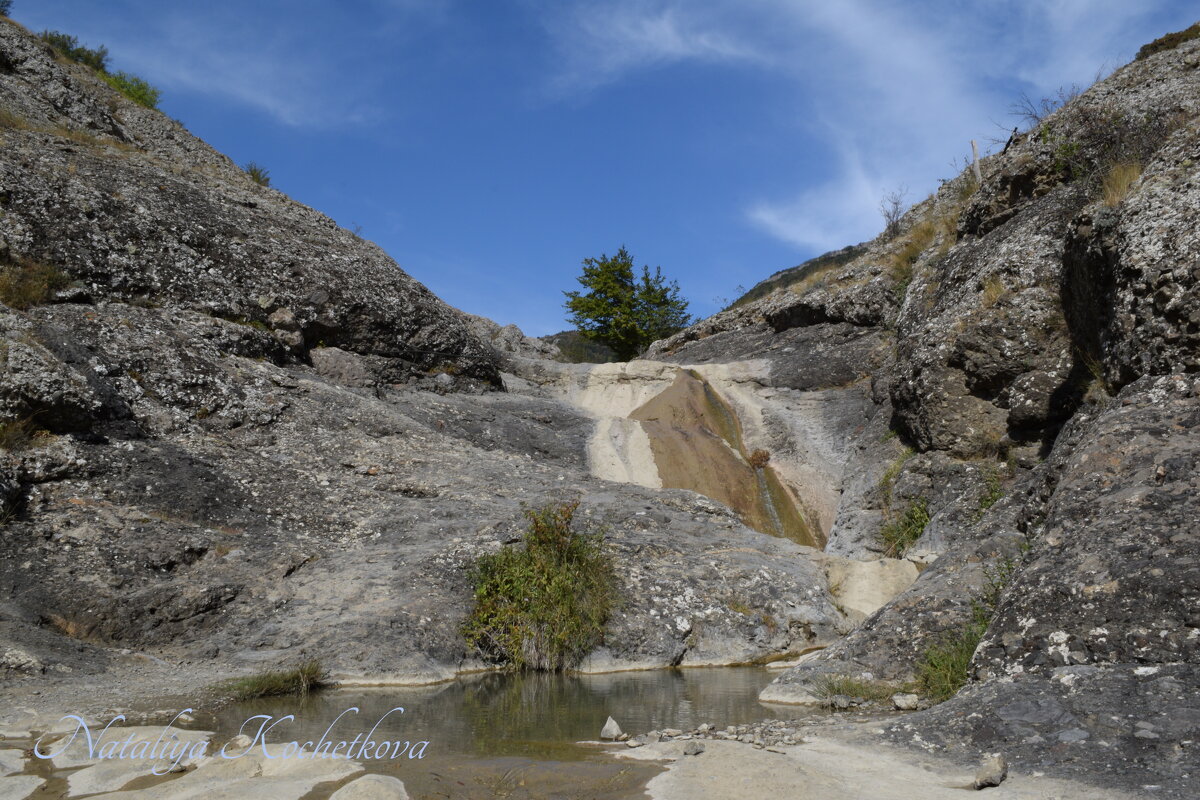 Природа Крыма - Amazing Cosmea Природа Крыма - Amazing Cosmea