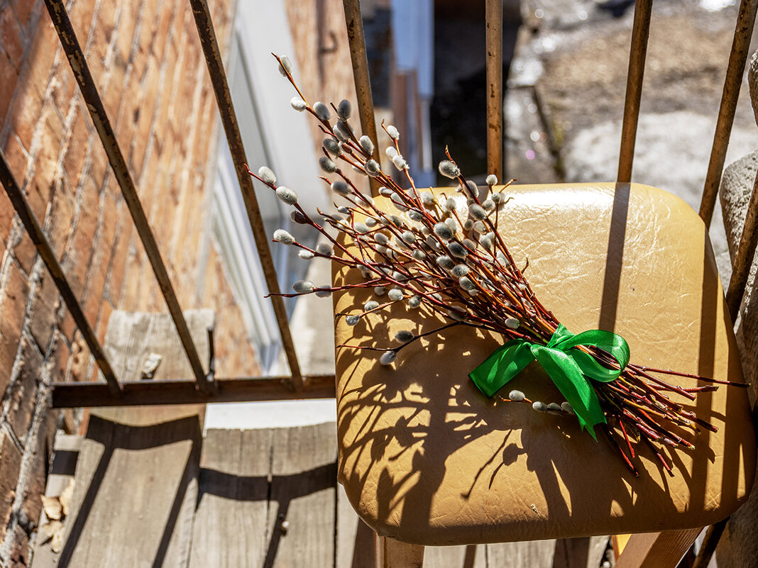 Риддер - Дмитрий Риддер - Дмитрий