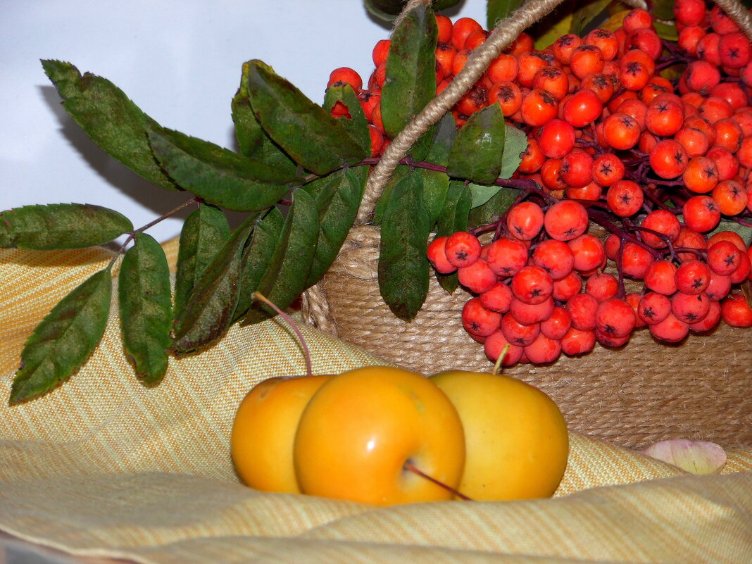 Осенняя зарисовка. - nadyasilyuk Вознюк