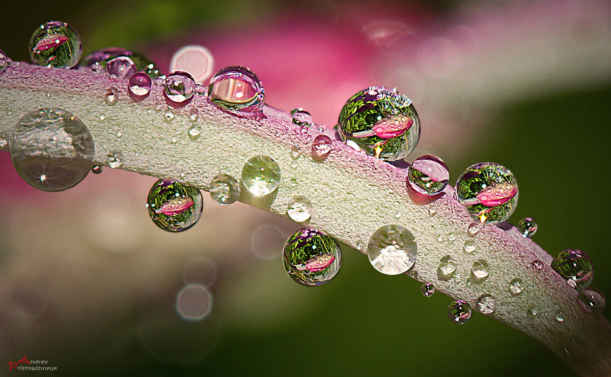 Капельки - Андрей Пристяжнюк Капельки - Андрей Пристяжнюк