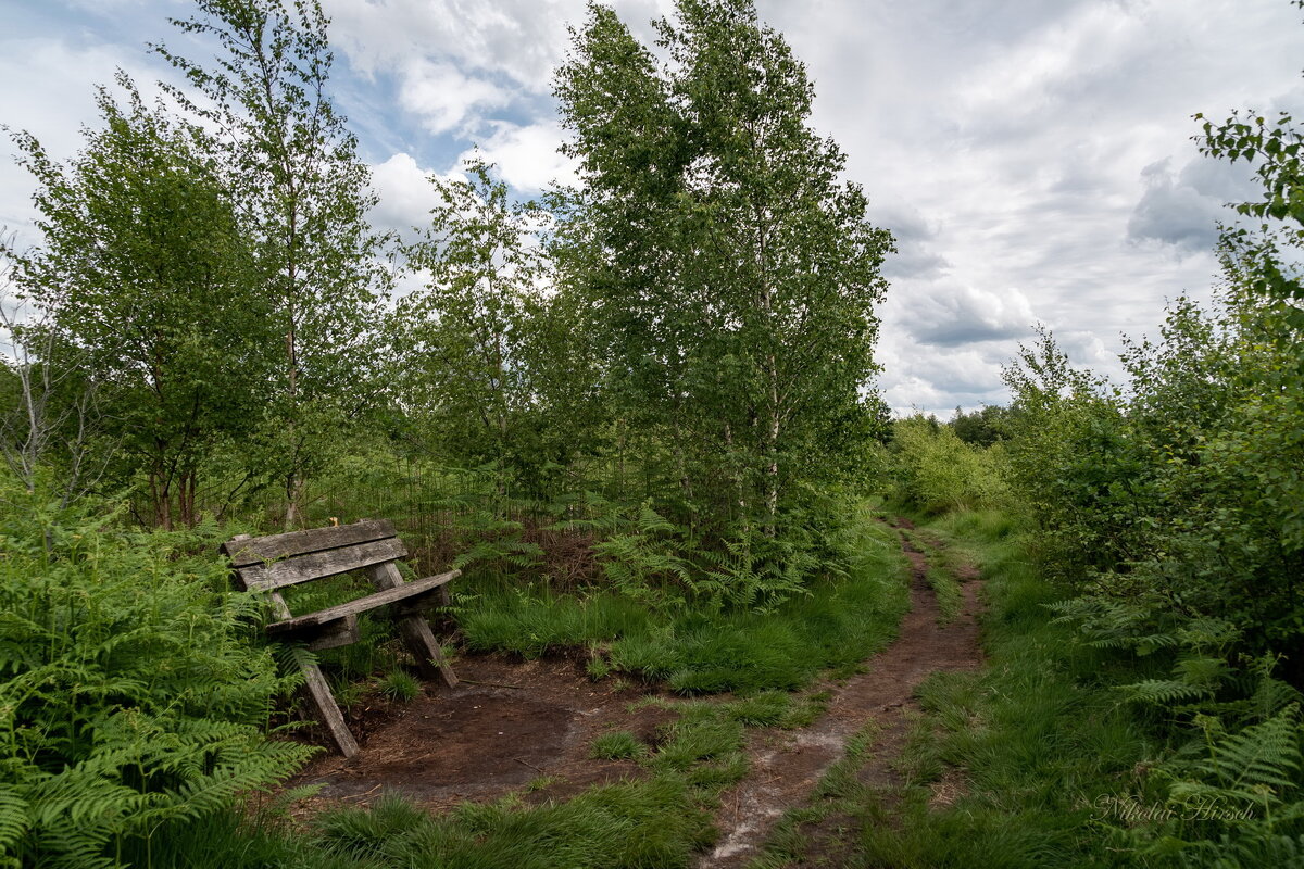 Посидим... - Николай Гирш