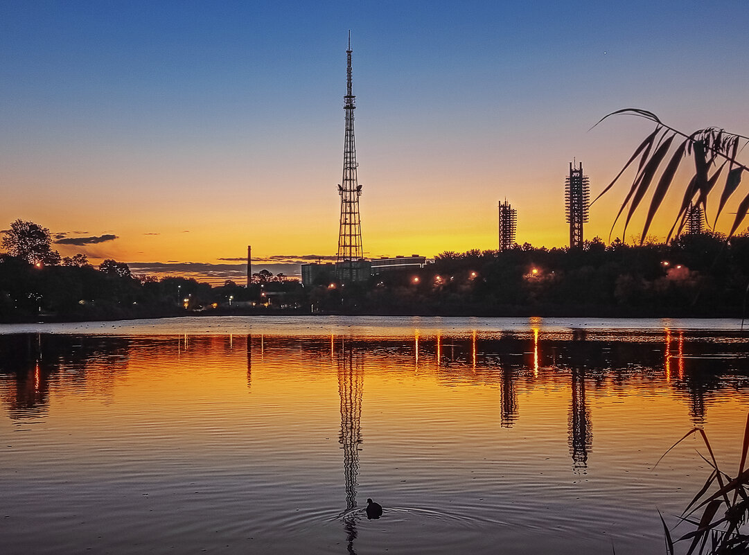 *** - Игорь Протасов