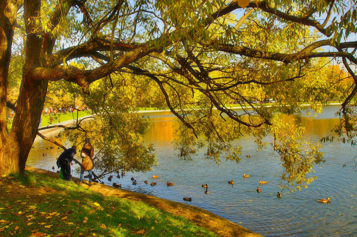 Осенний парк - Наталья Лакомова Осенний парк - Наталья Лакомова