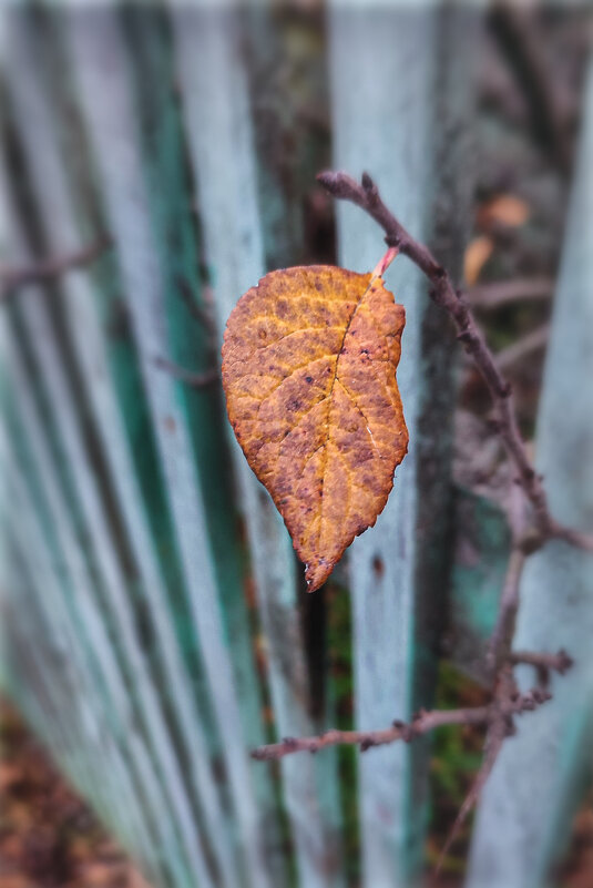 * - AZ east3 * - AZ east3