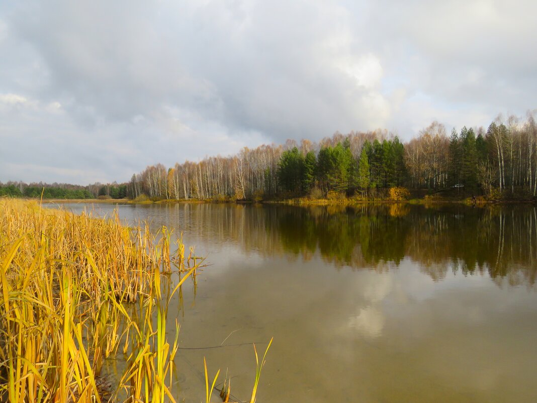 осень - НАТАЛЬЯ 