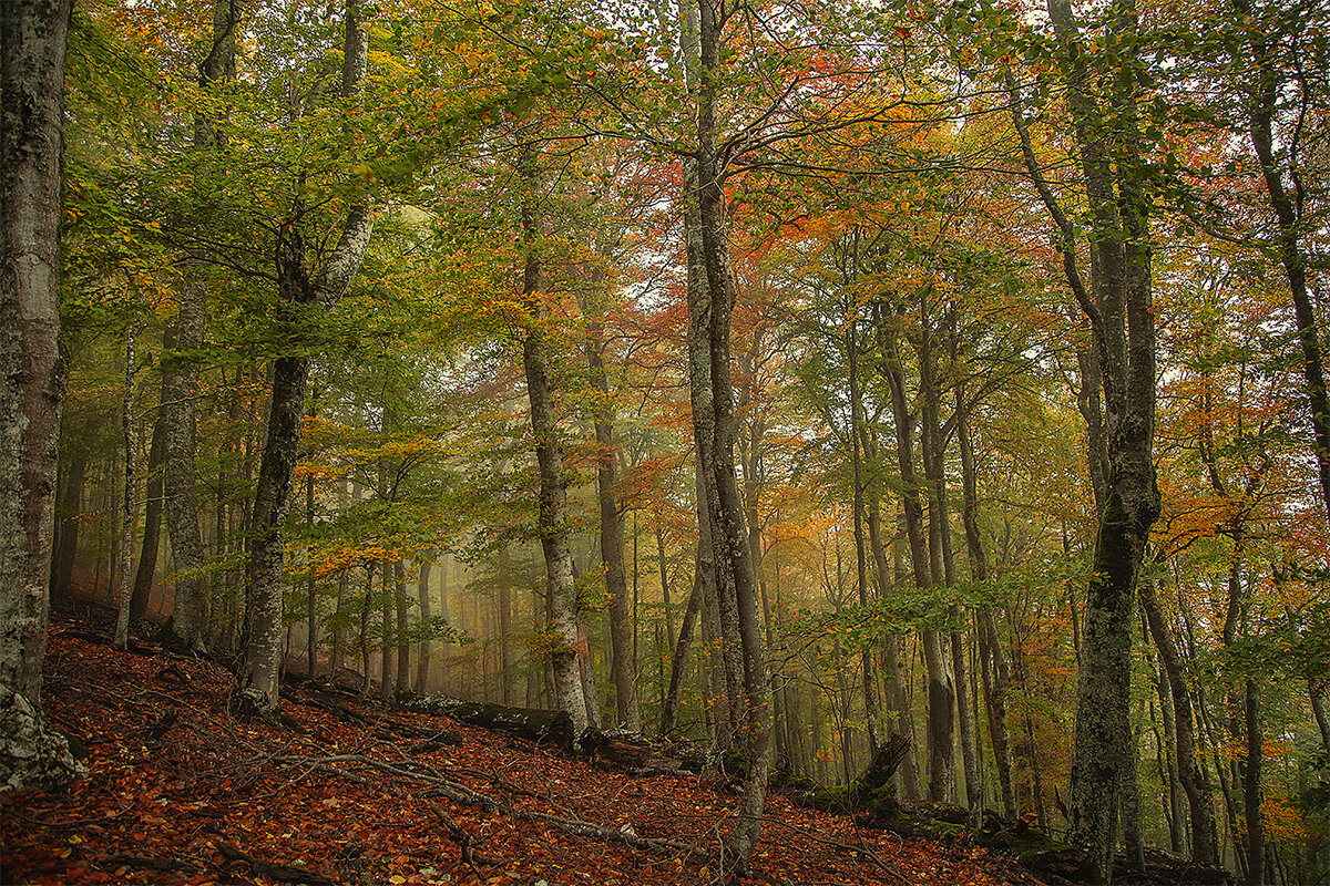 Крым. - Борис 