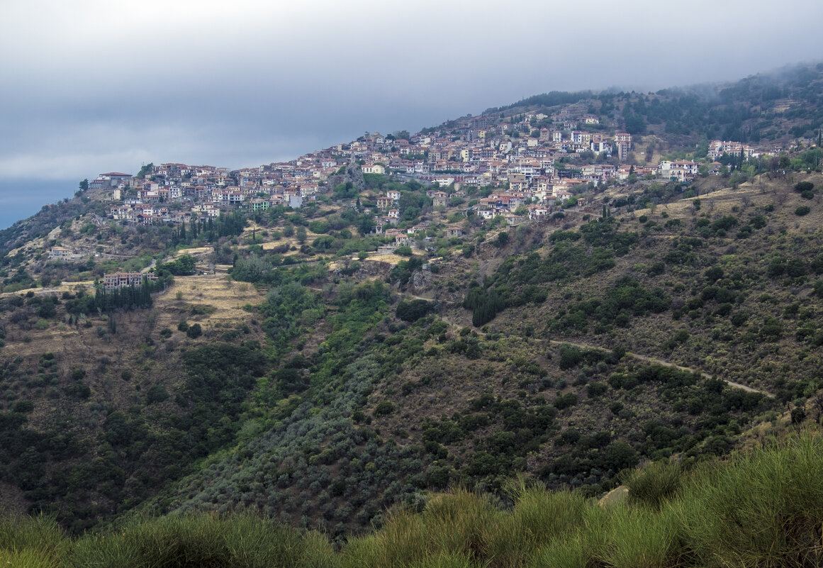 ** - Александр Липовецкий