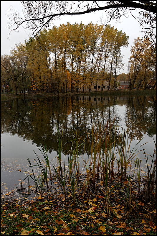 (***) - Сергей Премонишын