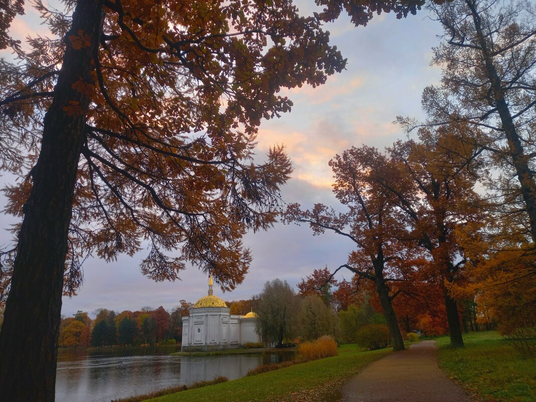 Рассвет - Сапсан 