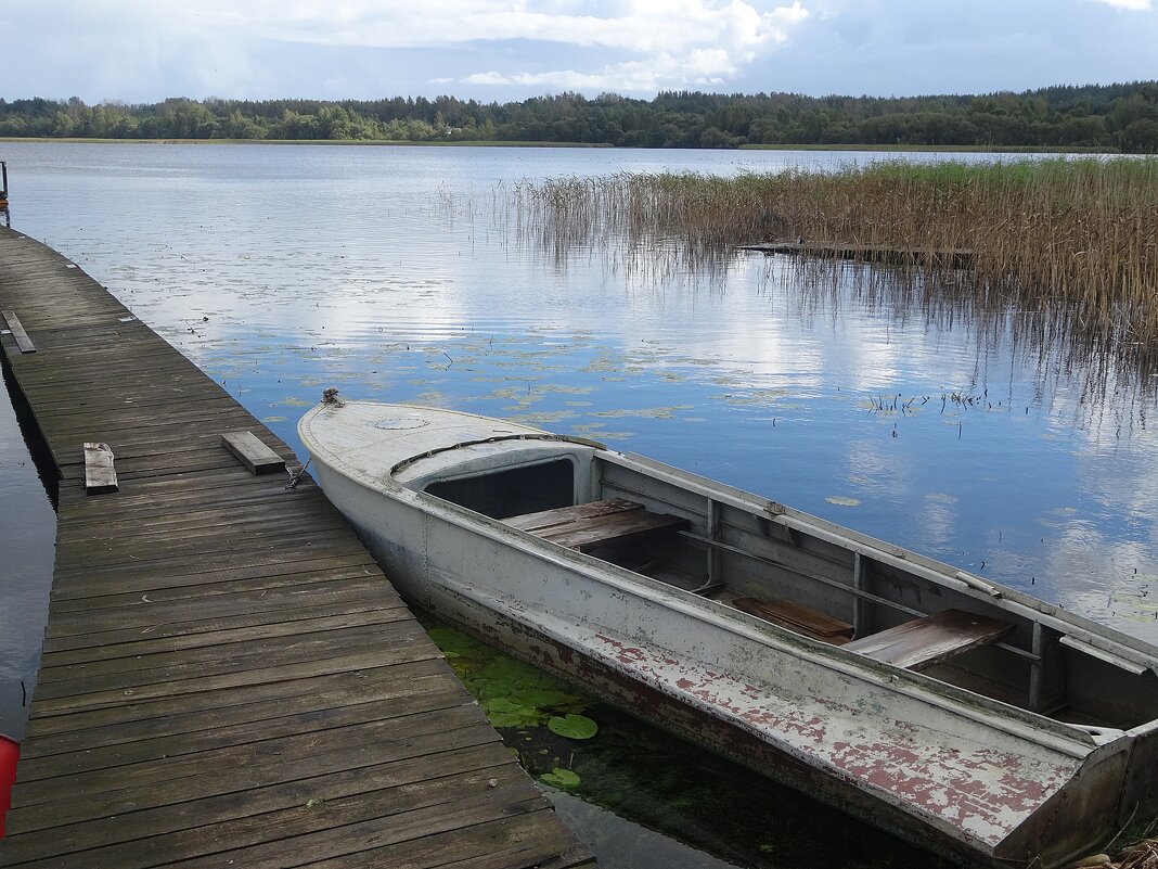 Себежское озеро - Лидия Бусурина Себежское озеро - Лидия Бусурина