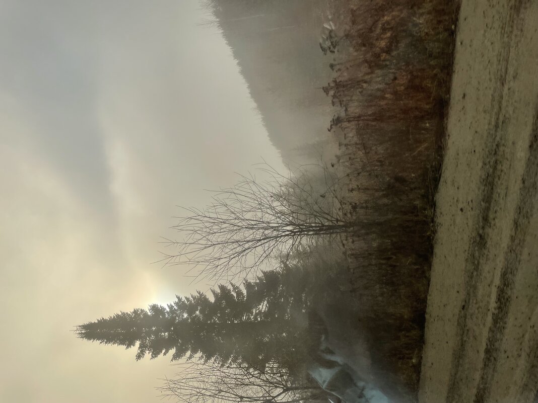 Туман - Ален Янн 