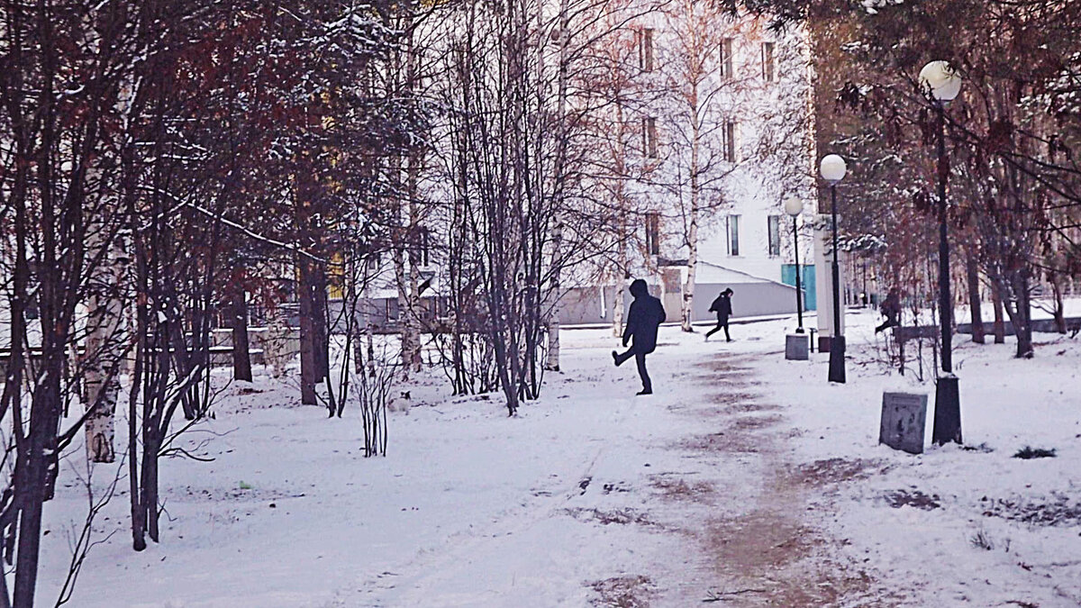 Октябрь...Эх, что-то налипло на ногу! - Владимир 