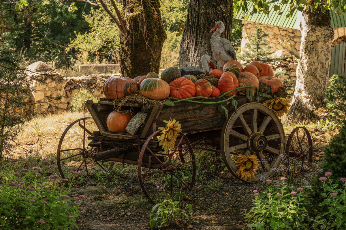 телега с тыквами - Игорь Сикорский