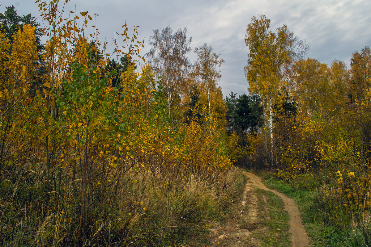 Осенними дорожками - Сергей Цветков
