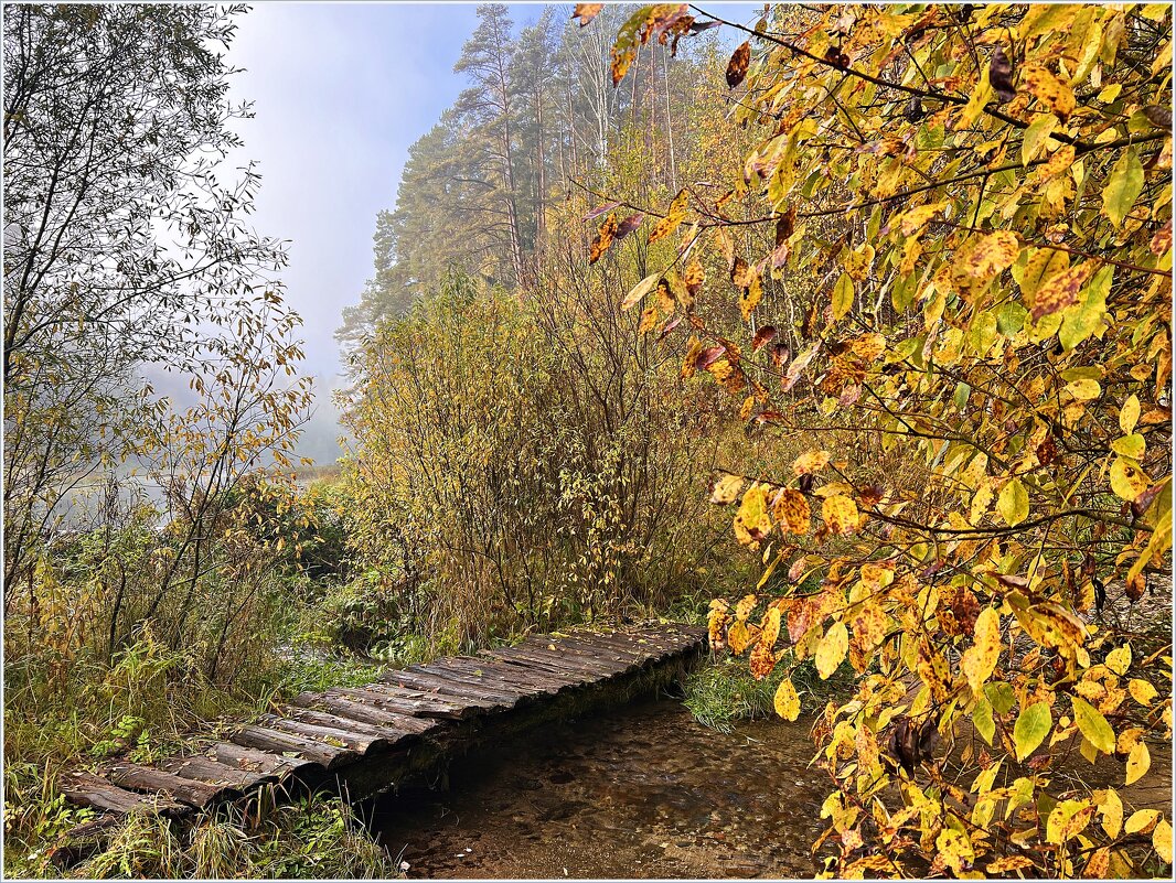 Мостик через ручей. - Валерия Комова