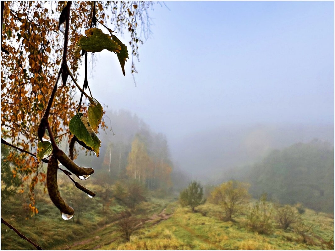 Туман. - Валерия Комова