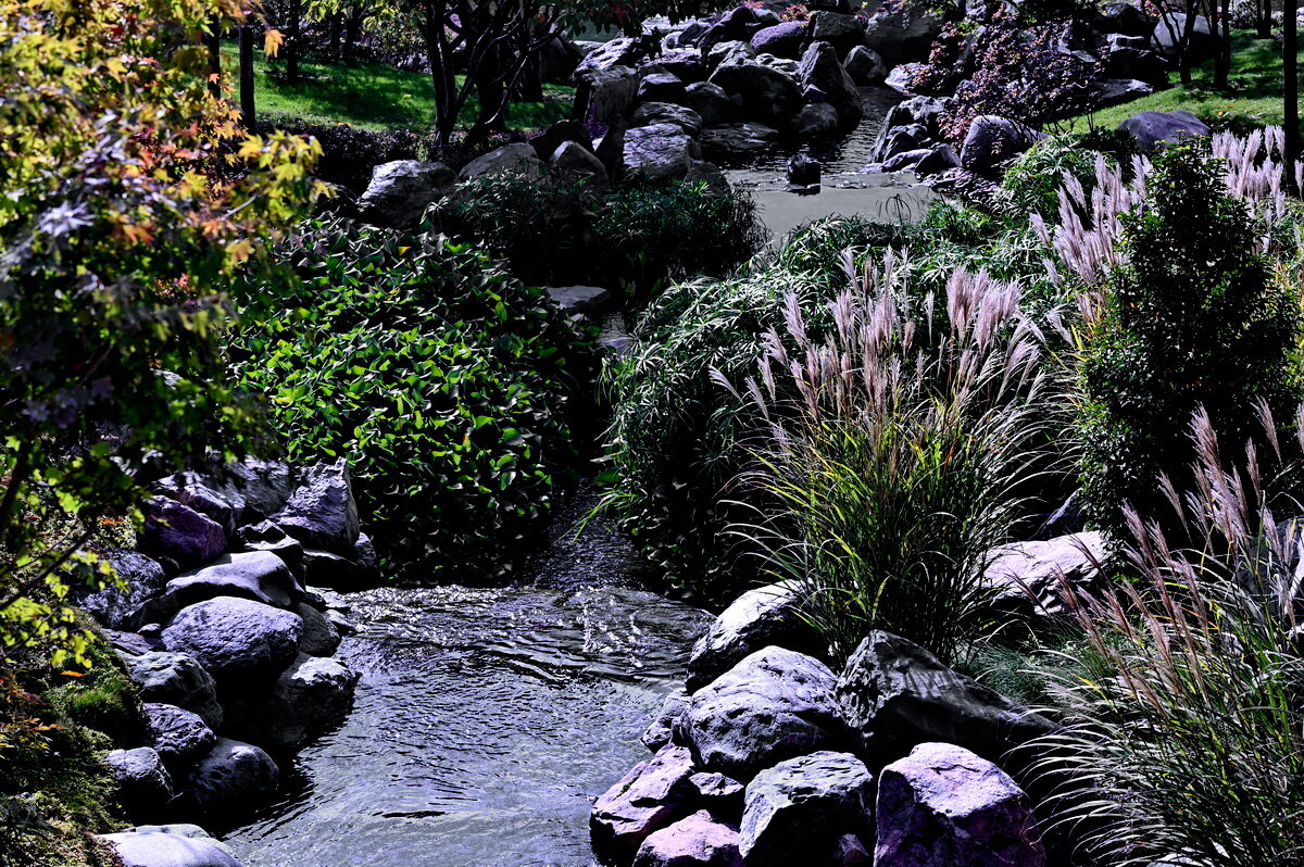 Парк Галицкого..." Японский сад " - Николай Саржанов