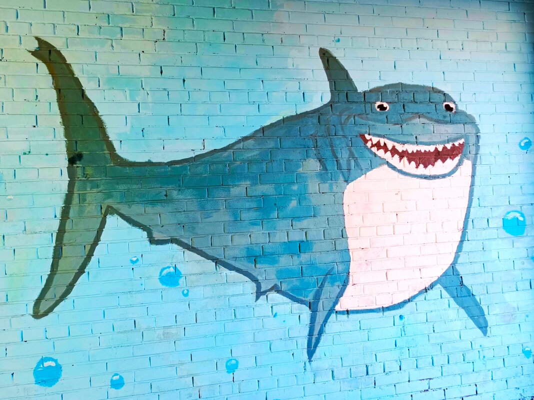 Весёлая акула.. - Василий 