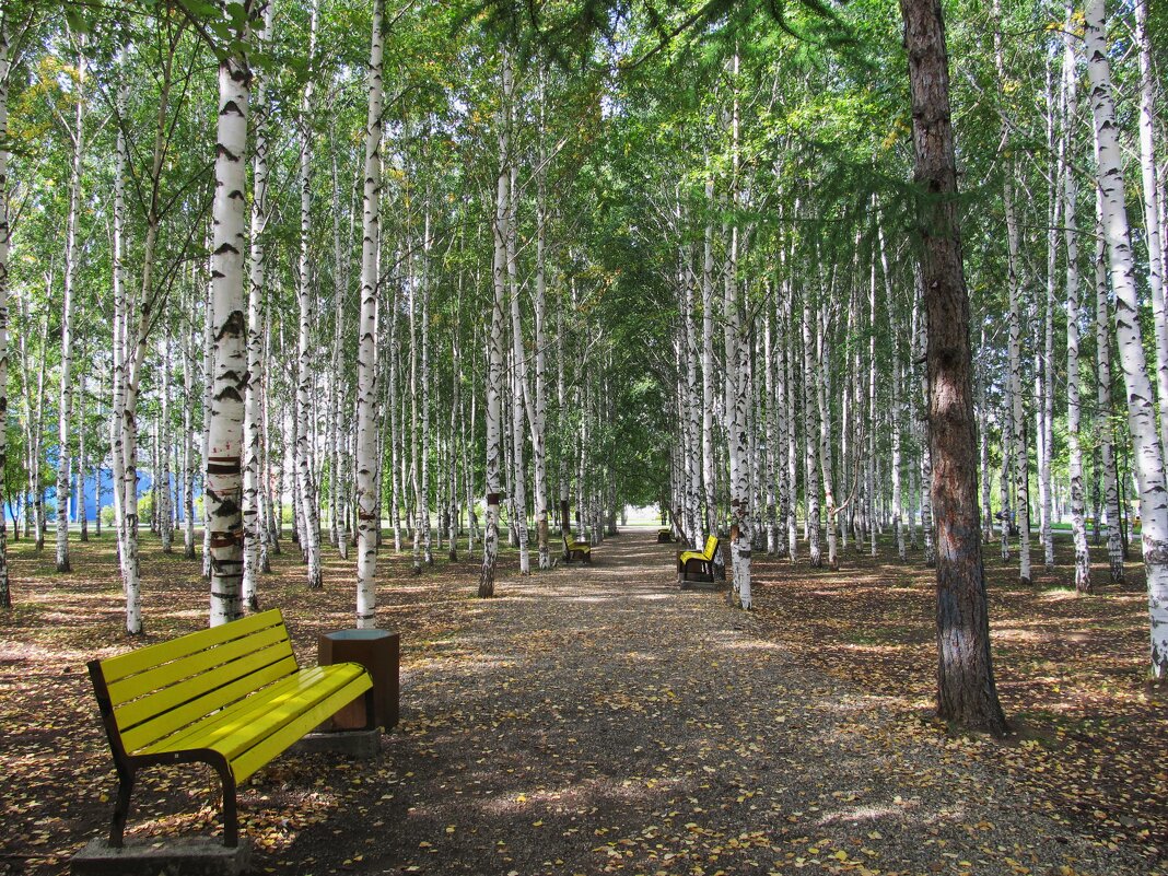 В Нижнем Тагиле - Елена Шаламова