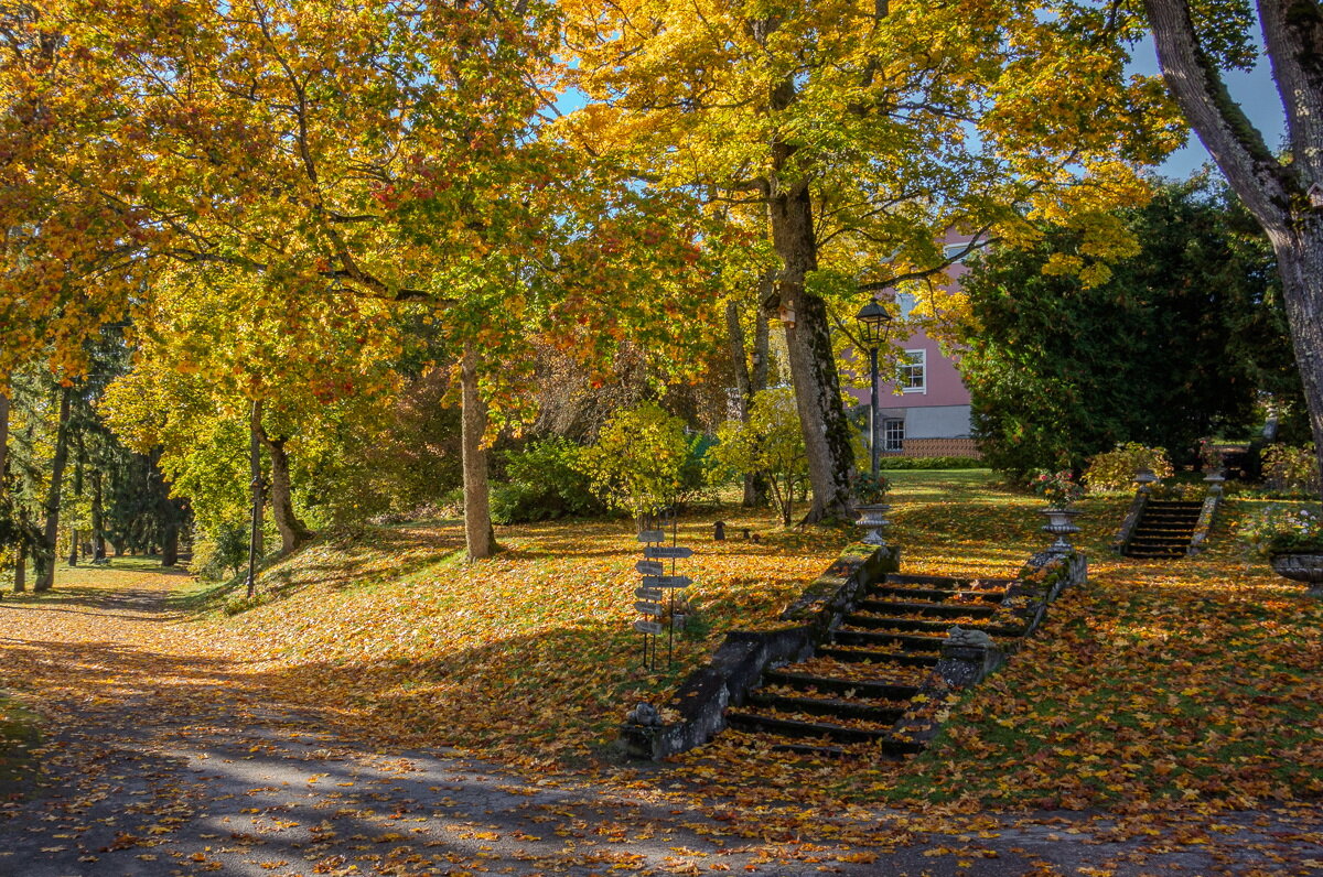 *** - Геннадий Порохов