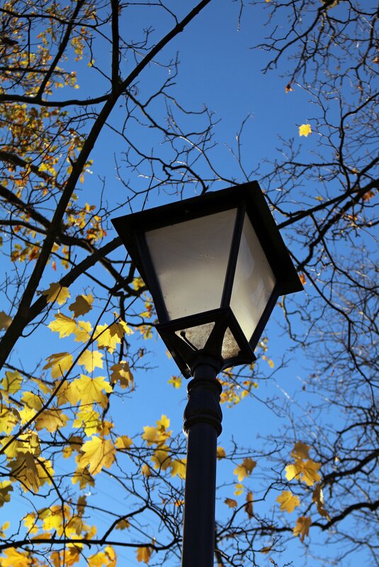 Осень Кронштадтский фонарей - Ольга 