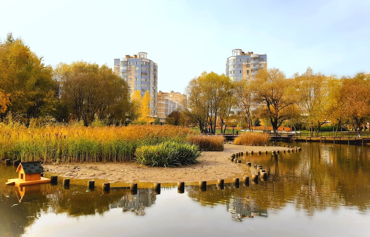 Куркино. Парк Дубрава - Ирина Via