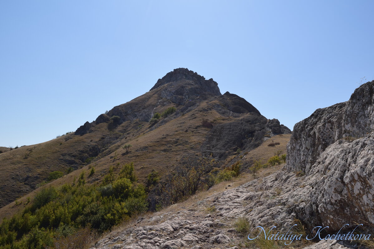 Природа Крыма - Amazing Cosmea