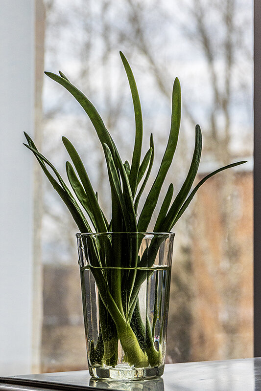 Риддер - Дмитрий 