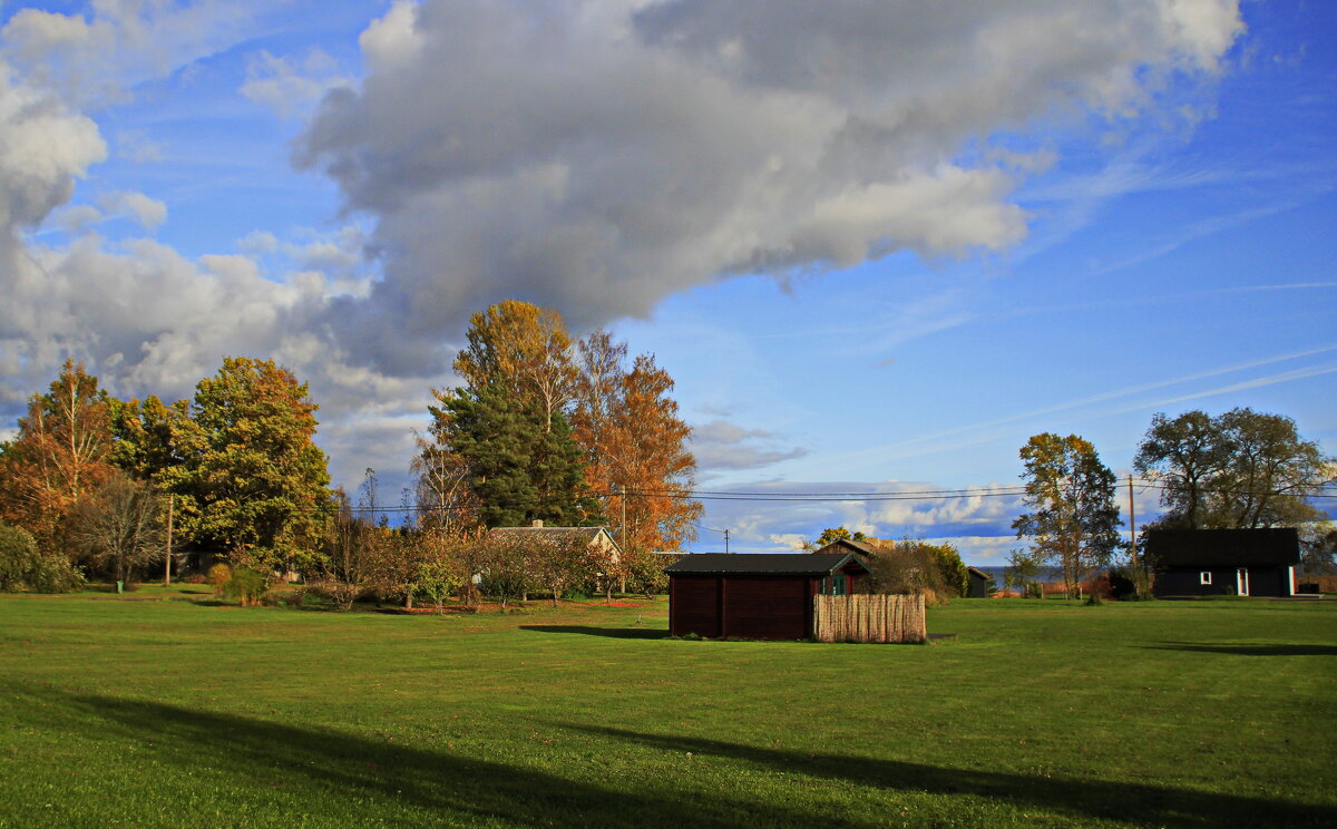 Редеют листвяные кроны... - Татьян@ Ивановна