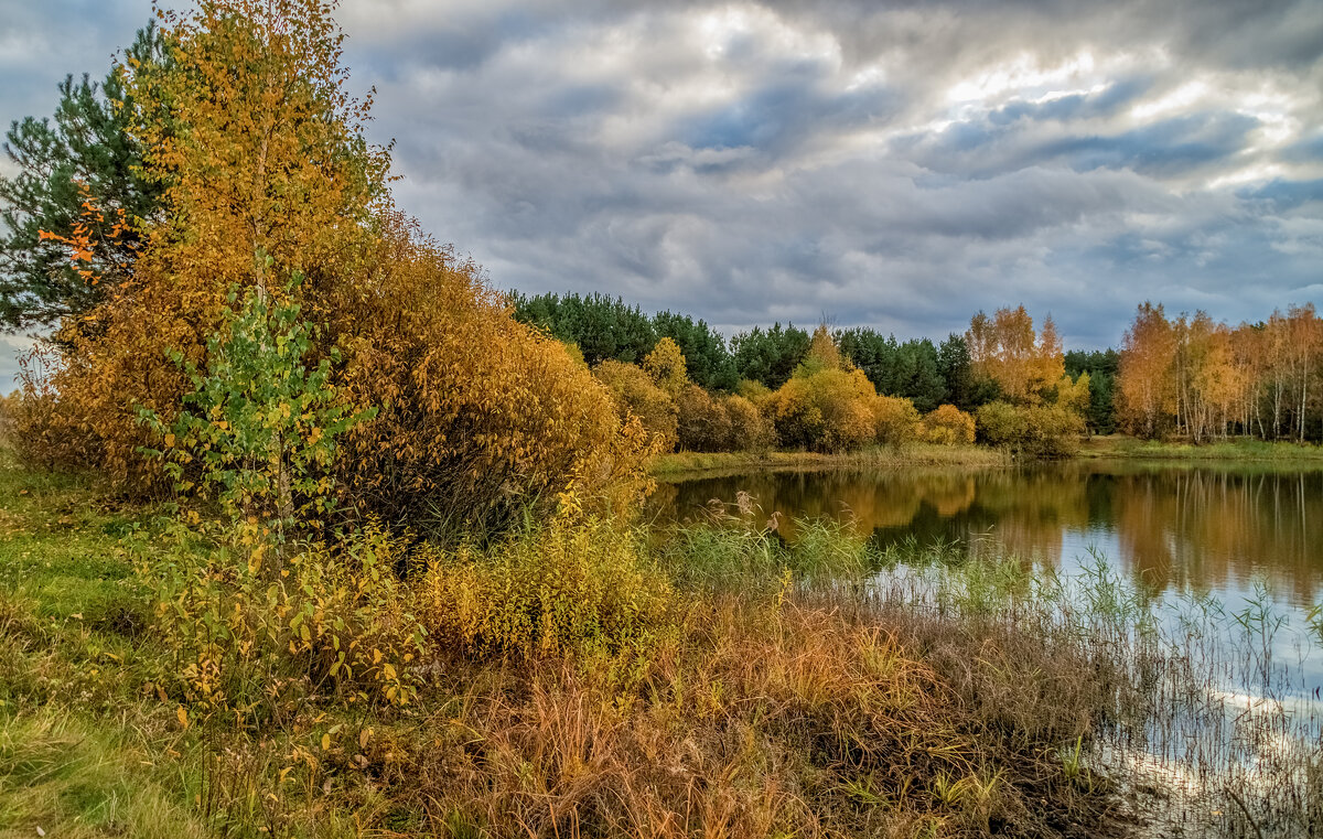 И снова Осень 6 - Андрей Дворников И снова Осень 6 - Андрей Дворников