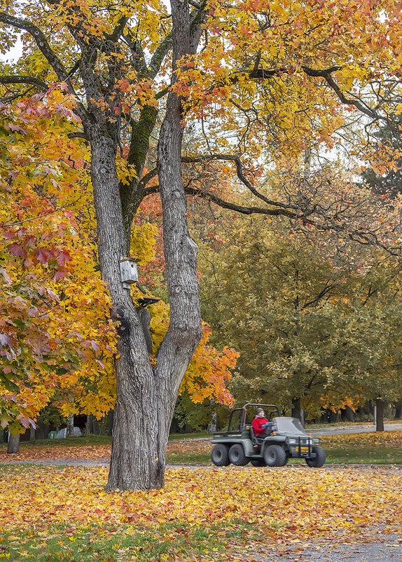 В парке городском... - Bosanat В парке городском... - Bosanat
