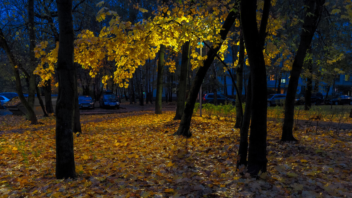 Осеннний Вечер в Городе - юрий поляков