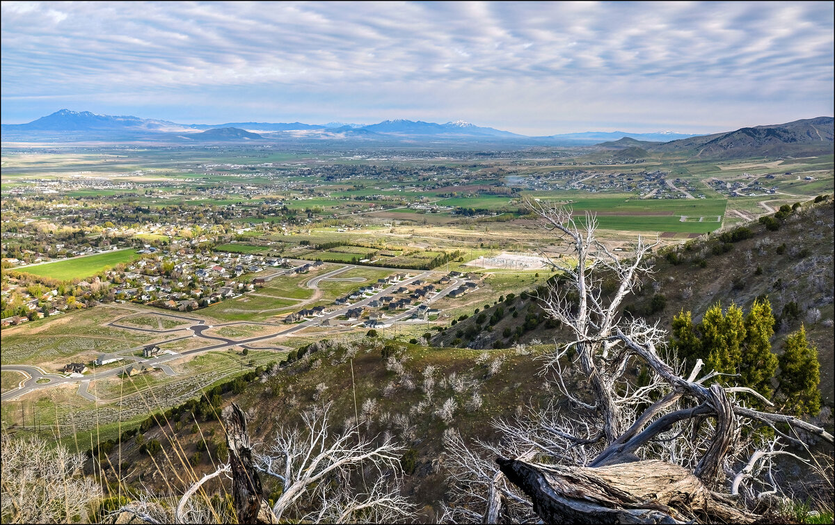 город Логан - **** vedin