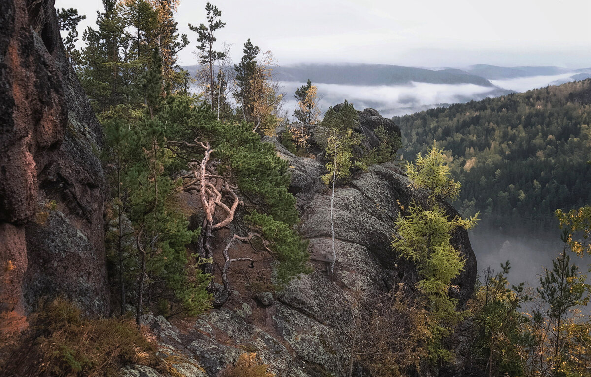 Жизнь на скалах - Марина Фомина.