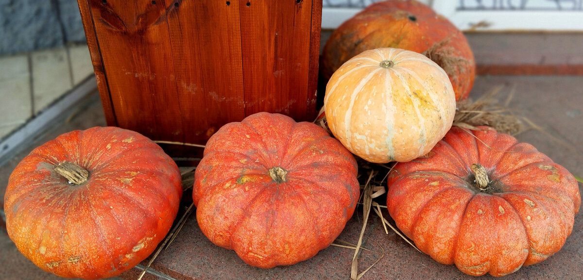 Осень - Радмир Арсеньев